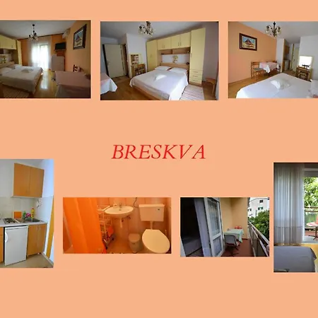 Ivana 马卡尔斯卡